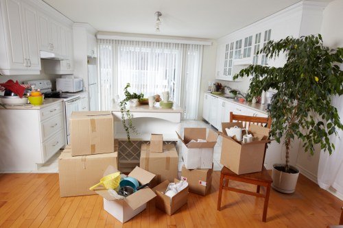 Man with van service helping with a local move in Snaresbrook